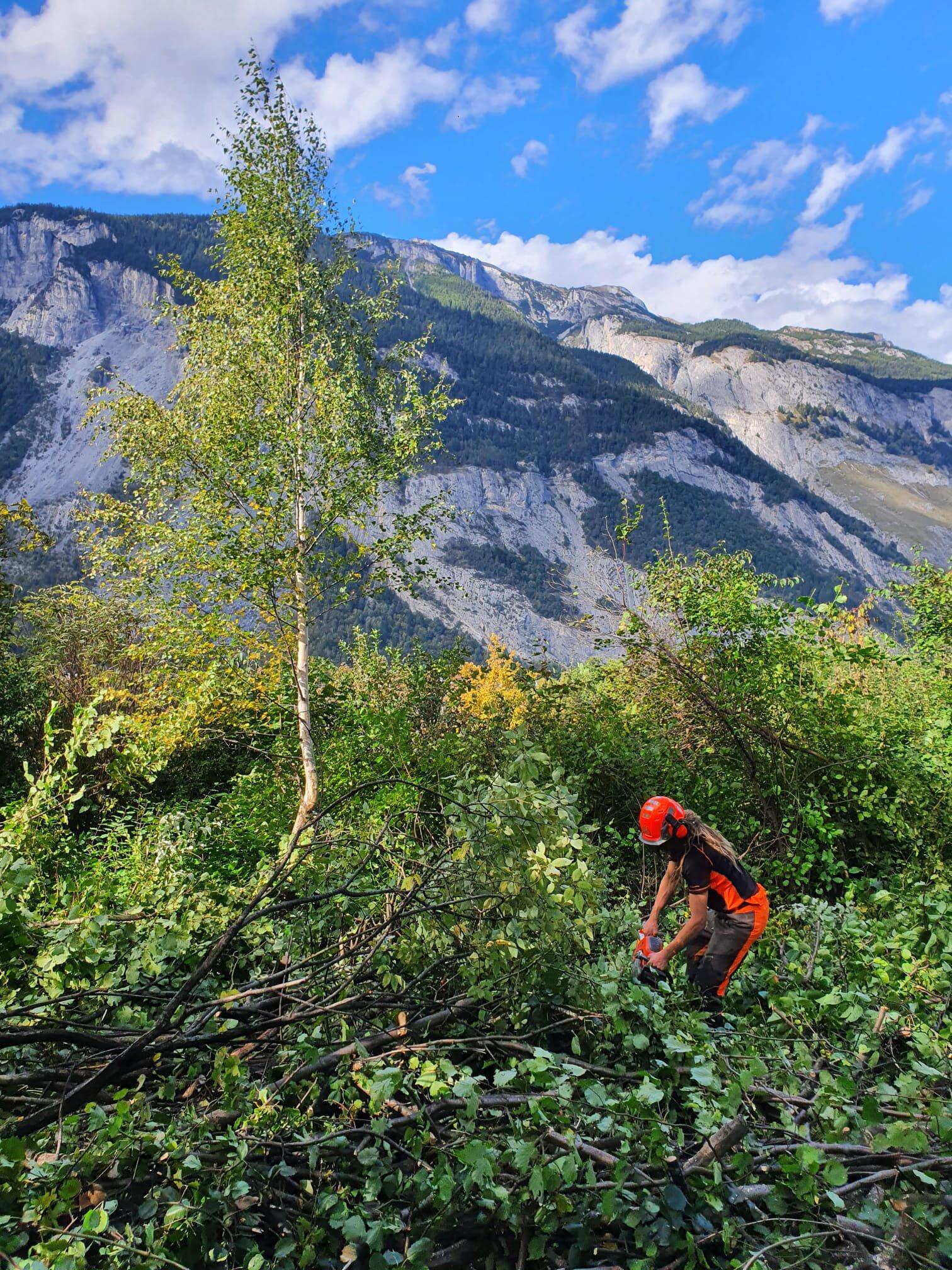 royal-garden-clearance-management-tree-service-crediton-gb-eng