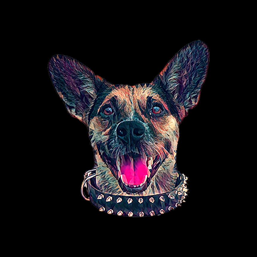 Mad Dog Grooming - Omaha, NE - Nextdoor Mad Dog Grooming - Omaha, NE - Nextdoor