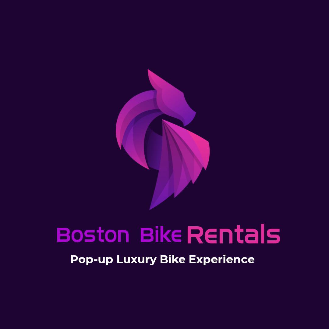 Springen Sklave Zorn bike rental boston Ithaka Nicht in Mode Kranz