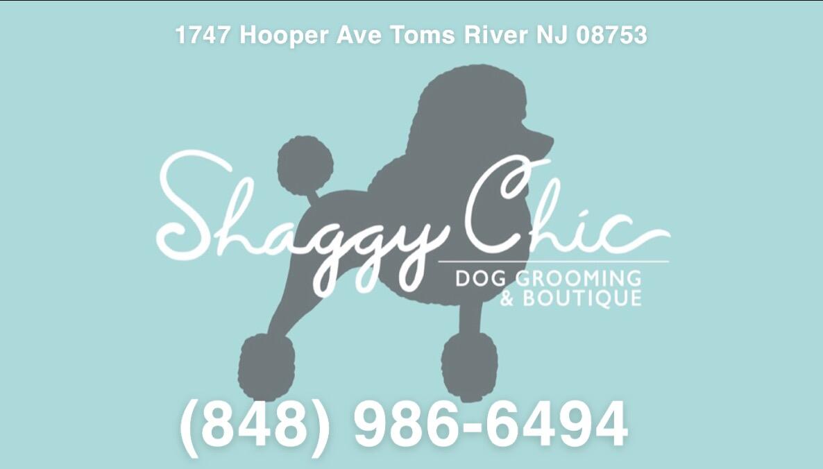 Shaggy chic dog sales grooming