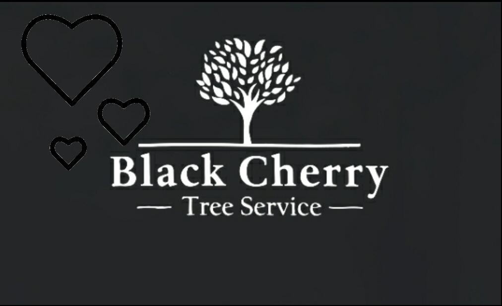 Black Cherry Tree Service Indianapolis, IN Nextdoor