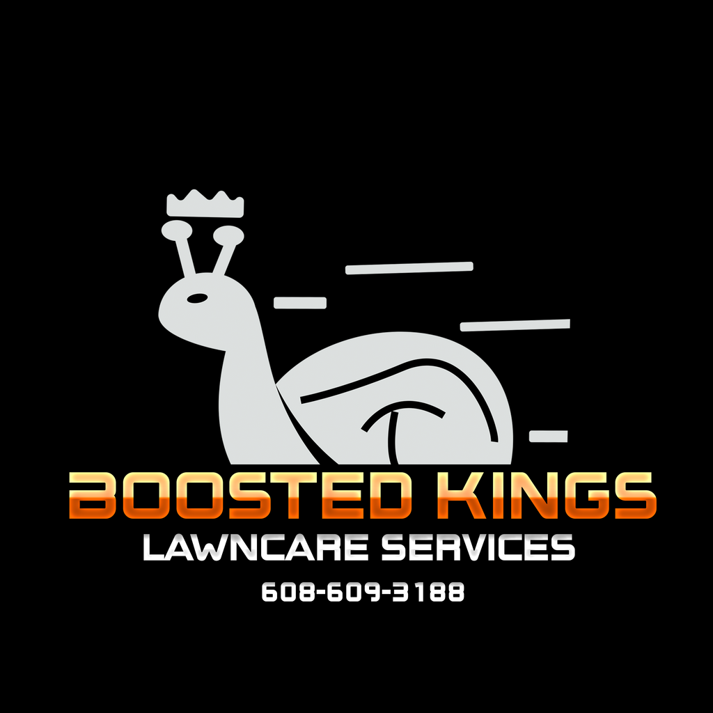 Boosted Kings Services LLC - Madison, WI - Nextdoor