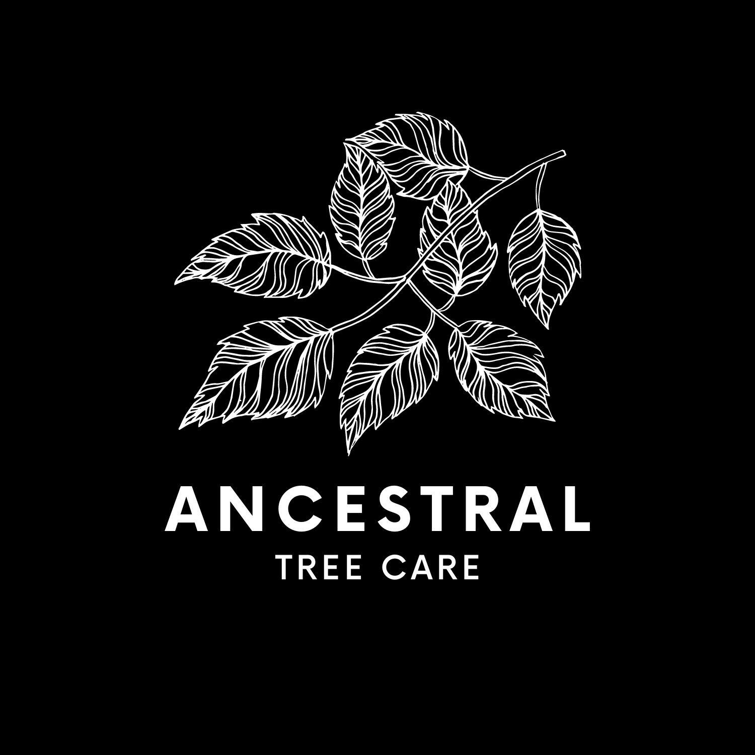 ancestral-tree-care-clovis-nm-nextdoor