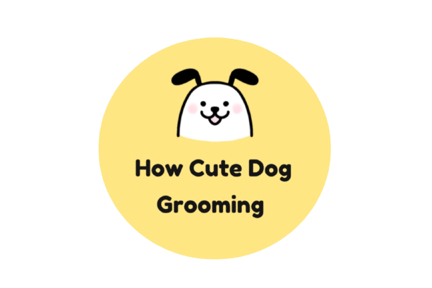 How Cute Dog Grooming Fairfax VA Nextdoor   B6edcf0669690814fa344084bb0bc836 