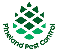 Pineland Pest Control Pineland Pest Control
