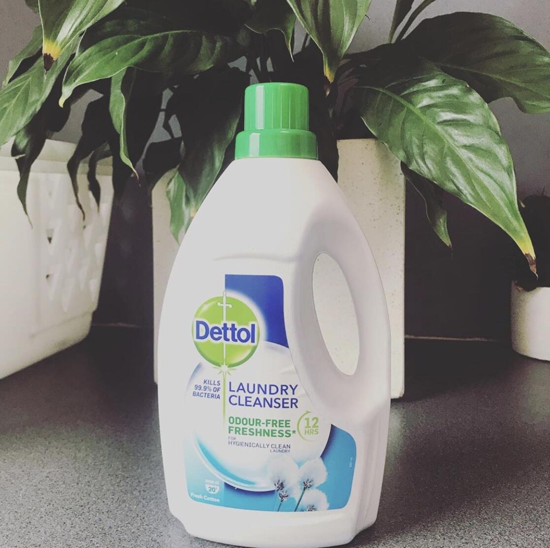 Aunty Dots Rules For Camping