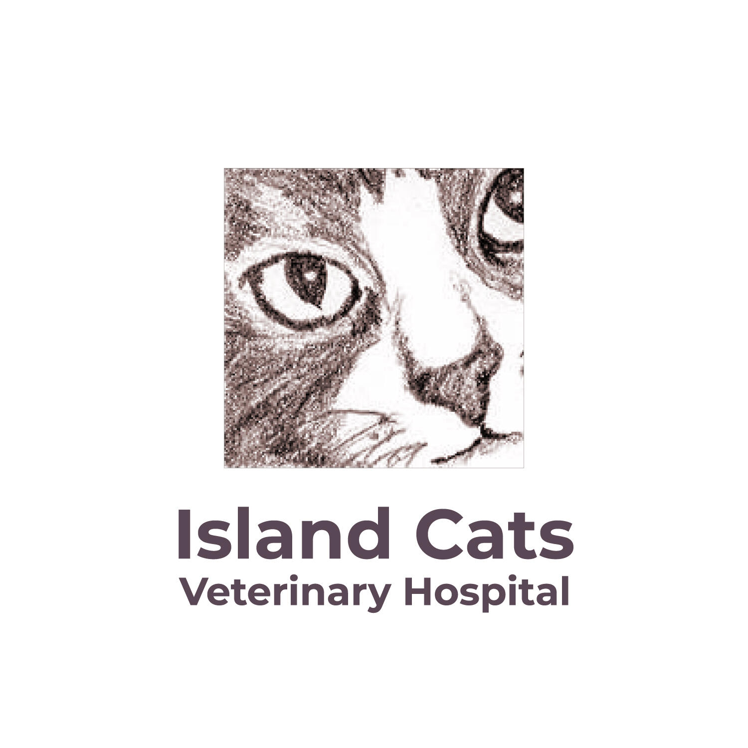 Mercer island best sale cat vet