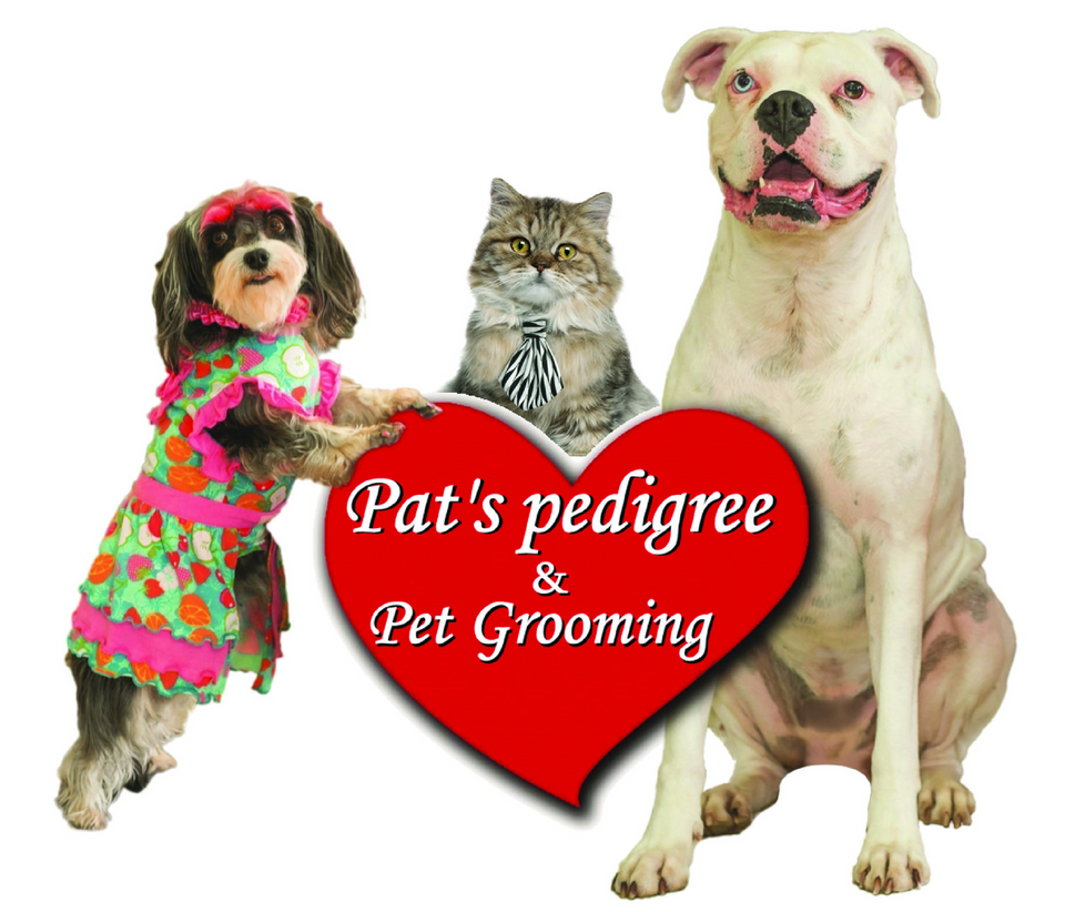 pedigree dog grooming