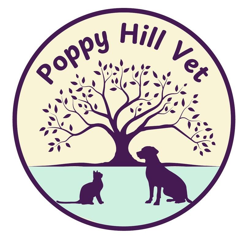 Poppy Hill Vet Berkley, MI Nextdoor