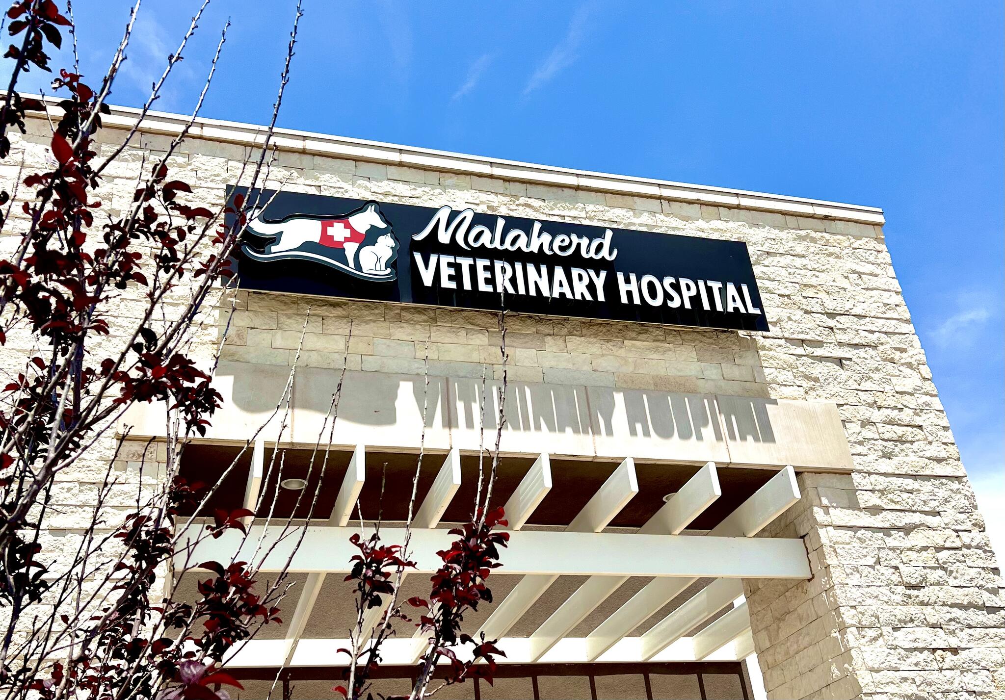 Malaherd Veterinary Hospital Albuquerque, NM Nextdoor