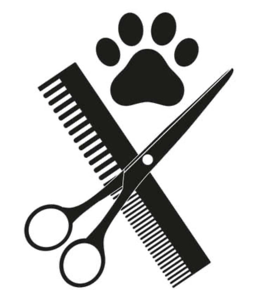 Barking Beautiful Dog Grooming Milton Keynes Nextdoor