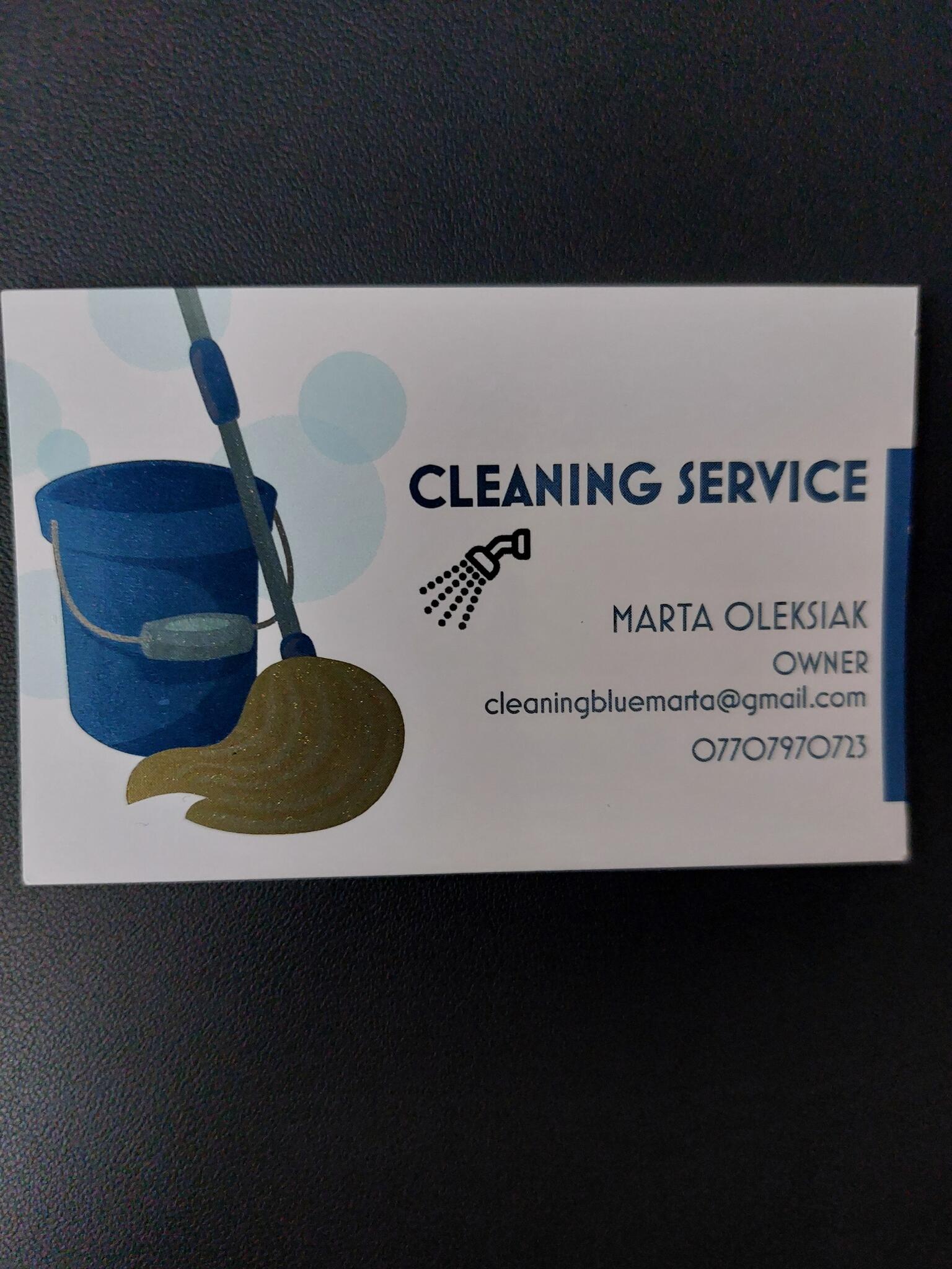 Cleaning Blue Wolverhampton Nextdoor cleaning-blue-wolverhampton-nextdoor