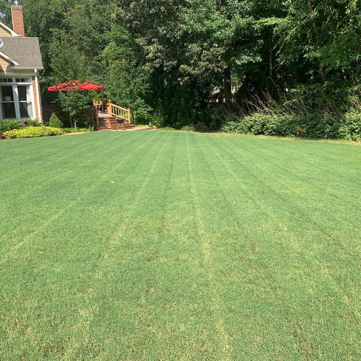 Presley’s Lawn and Landscaping - Collierville, TN - Nextdoor