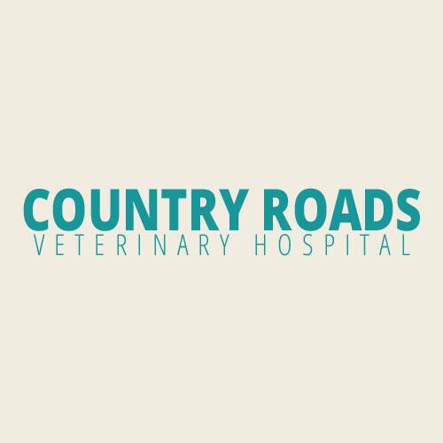 Country Roads Veterinary Hospital Winfield, WV Nextdoor