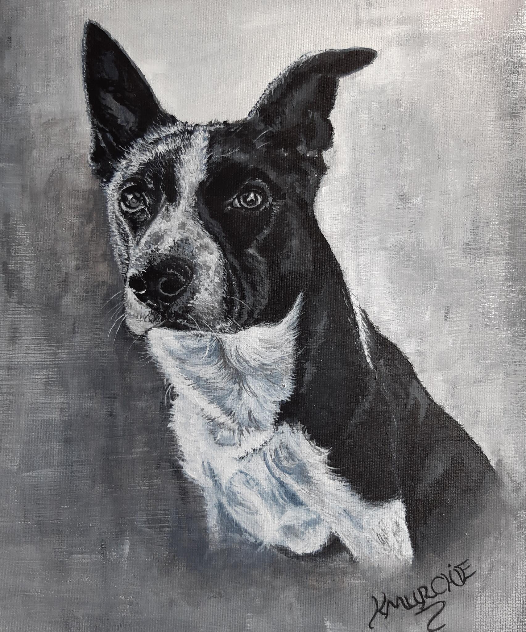 Kirsty's Pet Portraits Glasgow Nextdoor