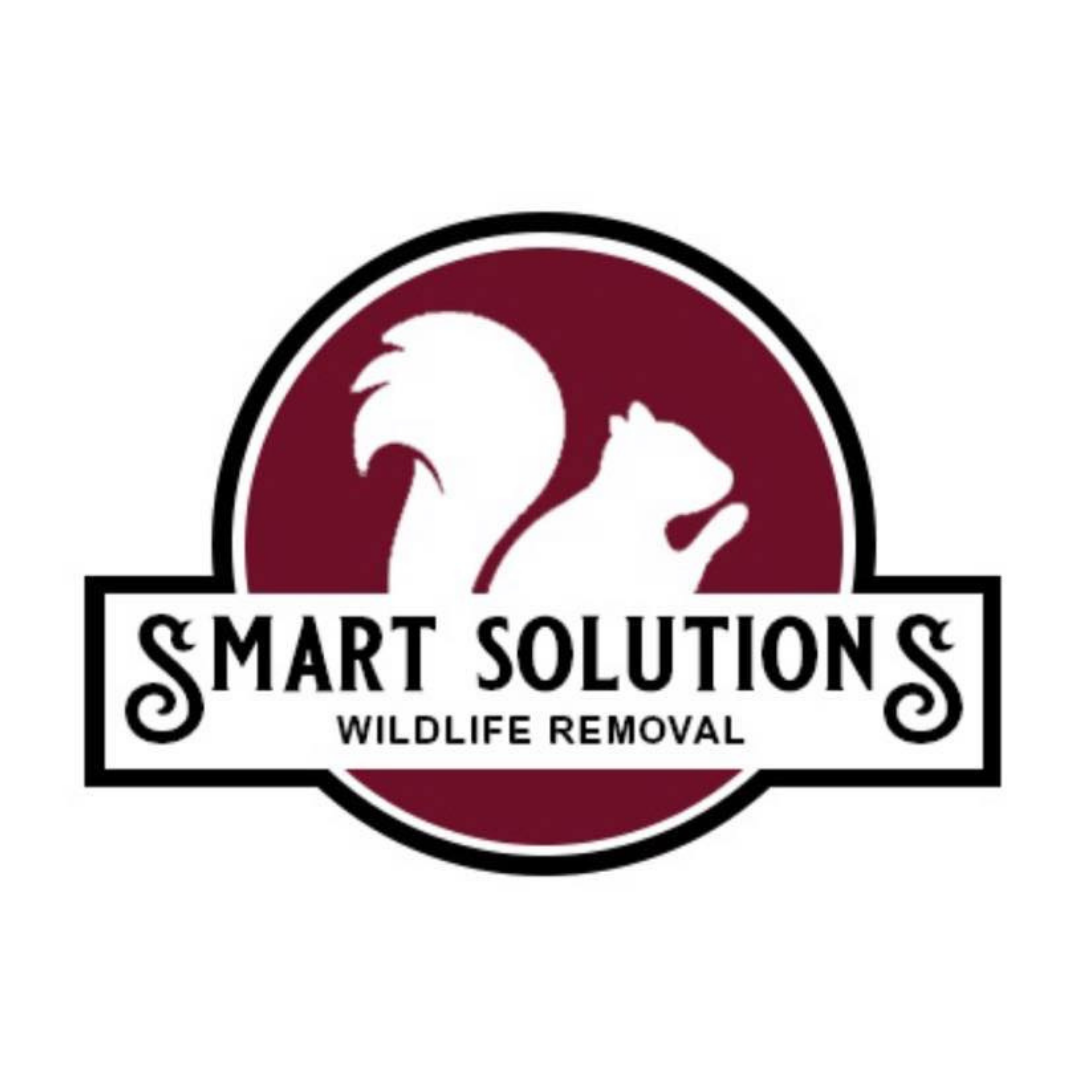 Smart Solutions Wildlife Removal Smart Solutions Wildlife Removal