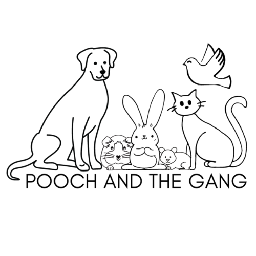 Pooch and the Gang - London, GB-ENG - Nextdoor