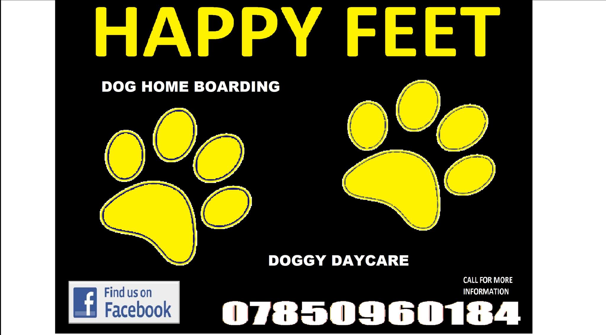 Happy feet dog walking and home boarding Sheffield, Yorkshire Nextdoor