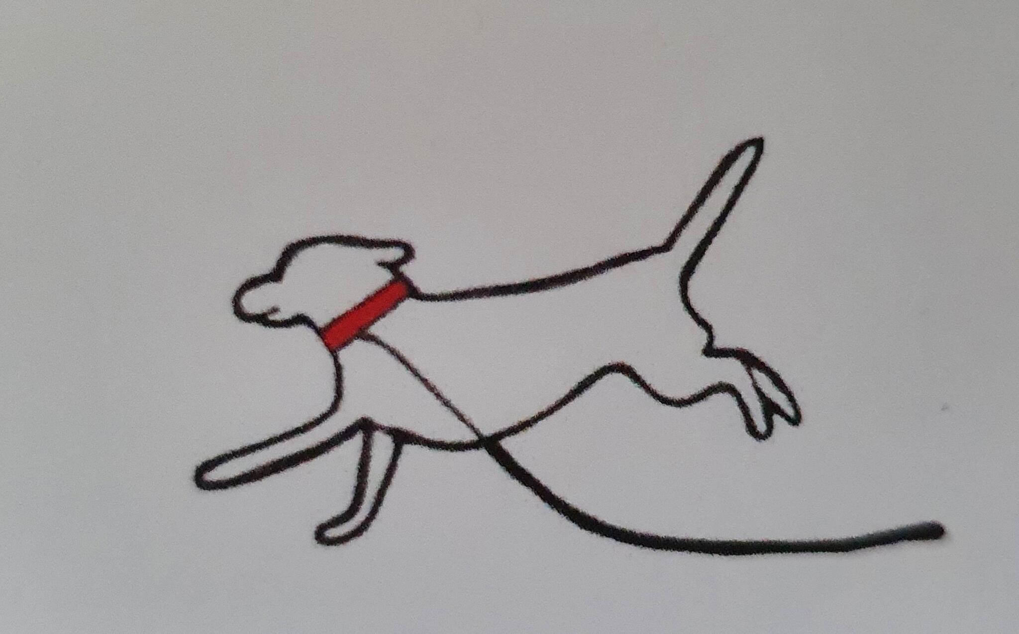 Caring Dog Walker Liverpool Nextdoor