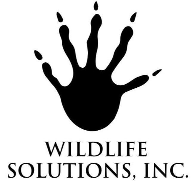 Wildlife Exclusion Services - AAAC Wildlife Removal of Mobile