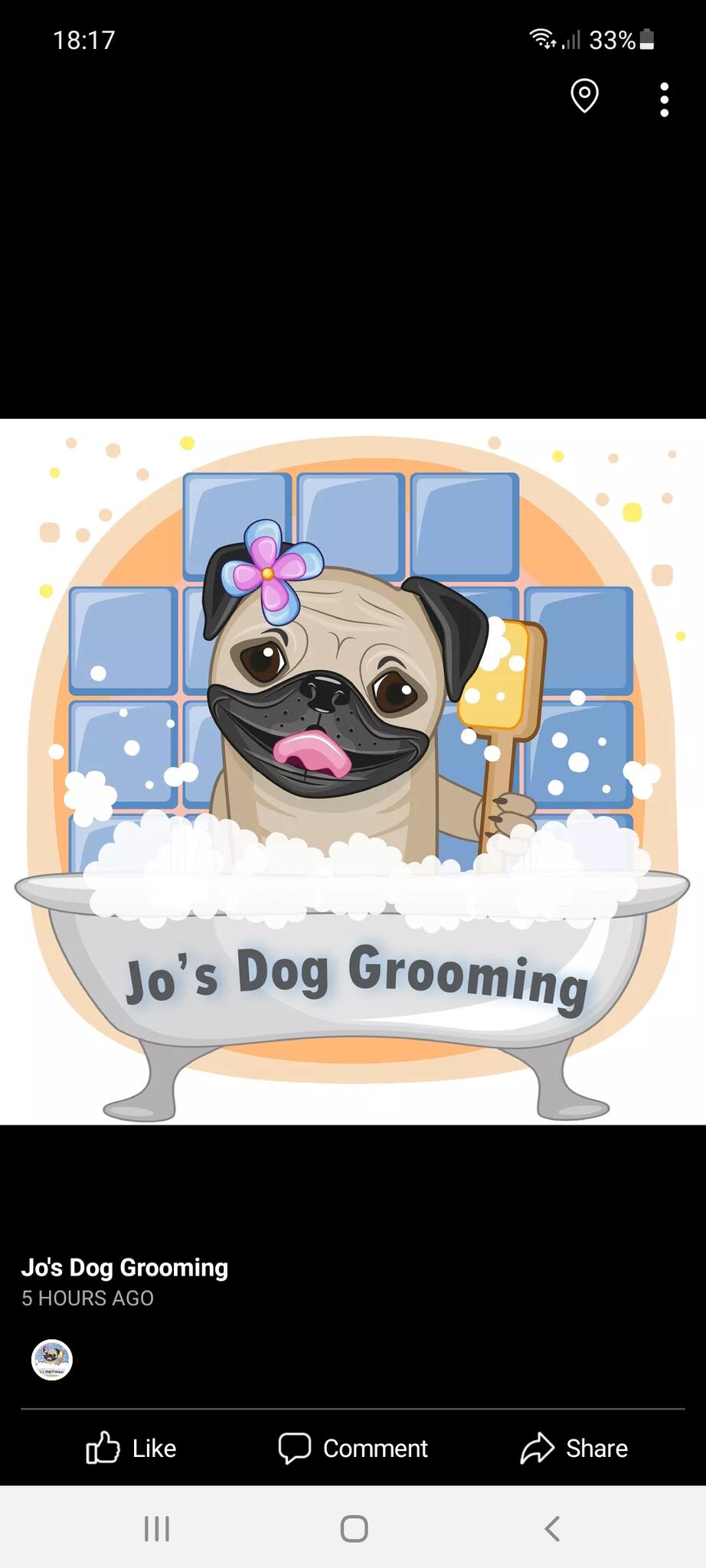 Jo's Dog Grooming Crawley Nextdoor