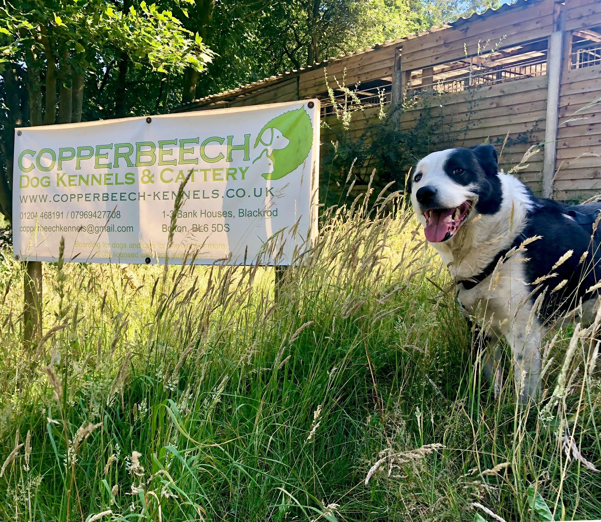 Copperbeech Boarding Kennels Bolton, GBENG Nextdoor