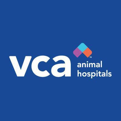 Vca iris sales animal hospital