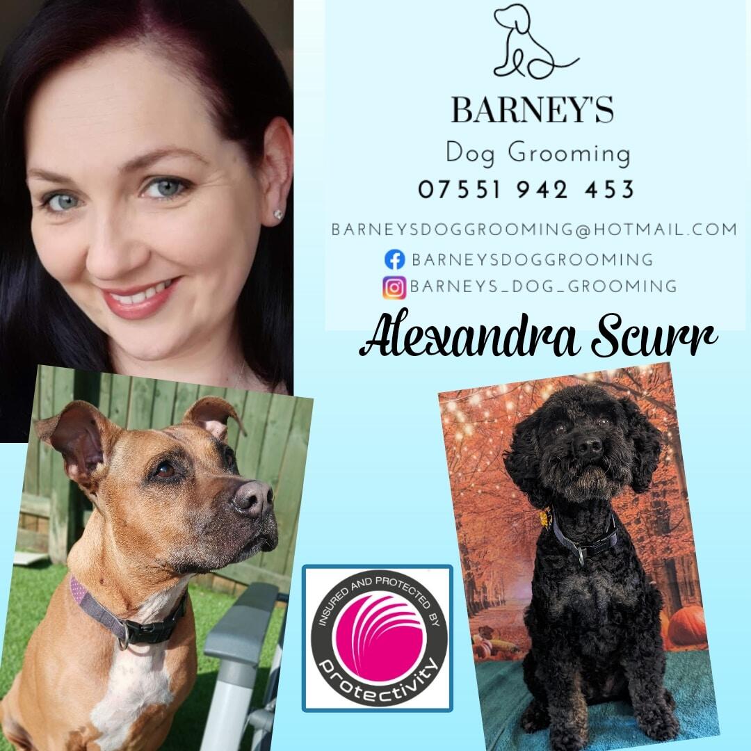 Barney's Dog Grooming Preston, England Nextdoor