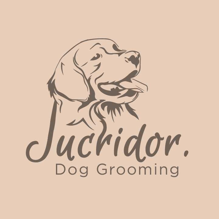 Jucridor Maidstone Dog Grooming Maidstone, GBENG Nextdoor