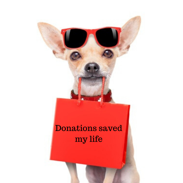 Dog Junkies Thrift Store 20 Recommendations Las Vegas Nv