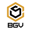 BGV Construction & Windows LLC