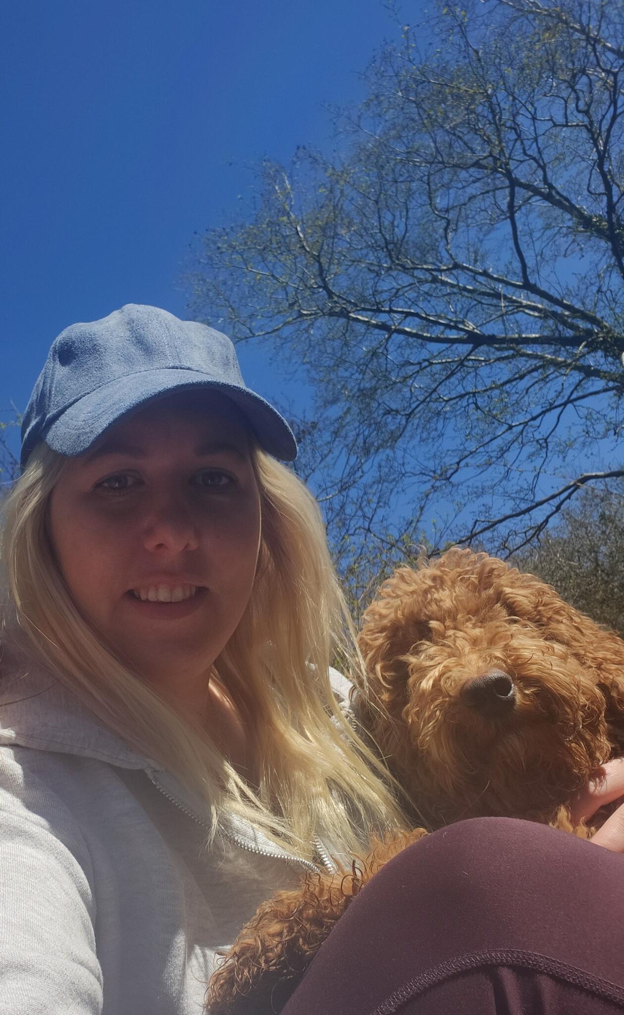 Take My Lead Dog Walking Chorley Nextdoor