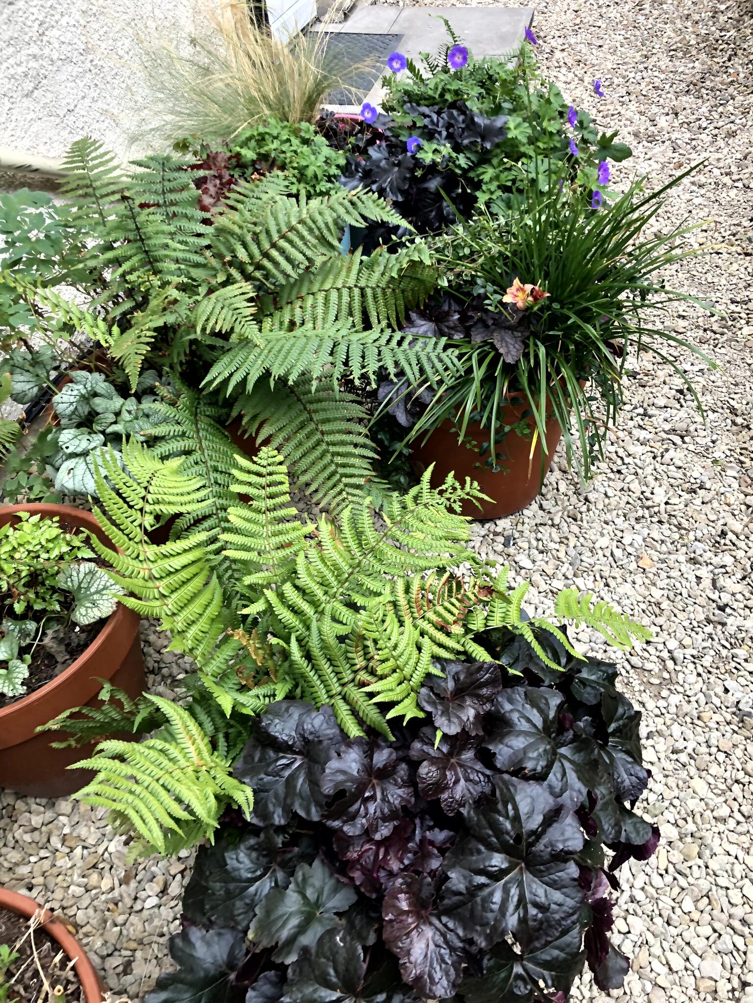 Garth Gardens Cardiff Nextdoor