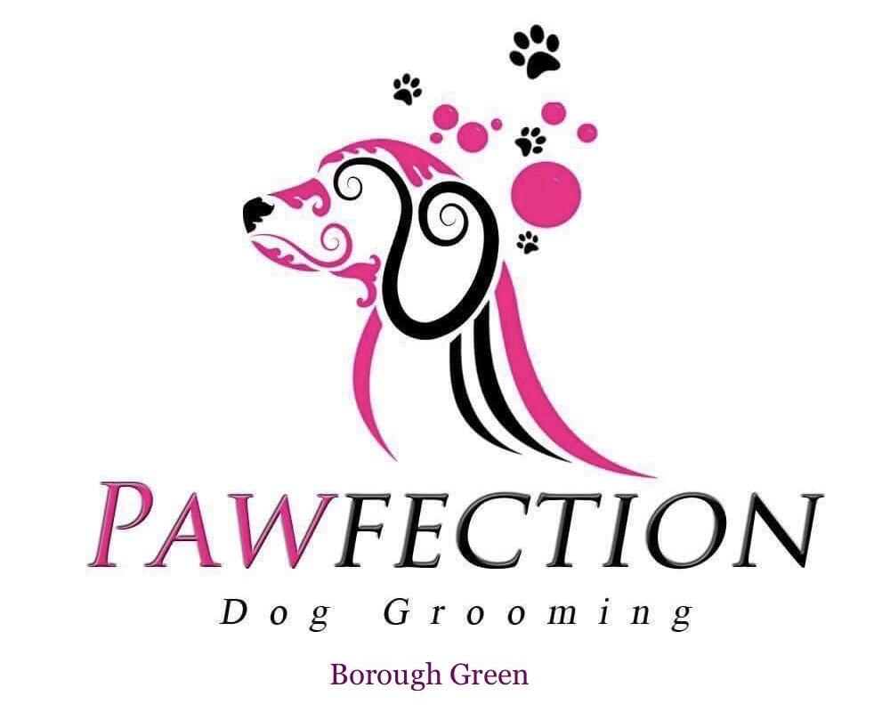 Pawfection hot sale mobile grooming