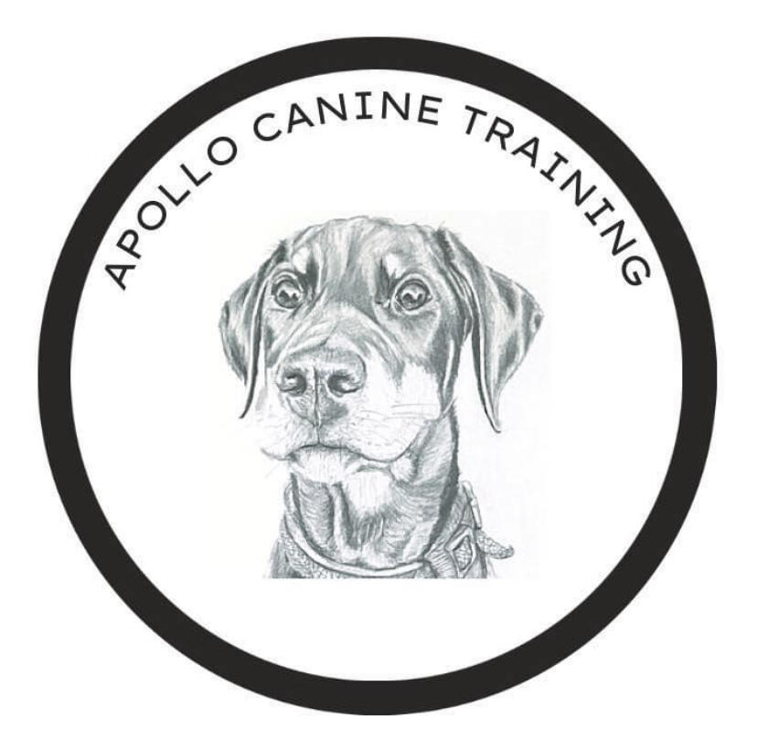 Apollo Canine Training Wirral Nextdoor