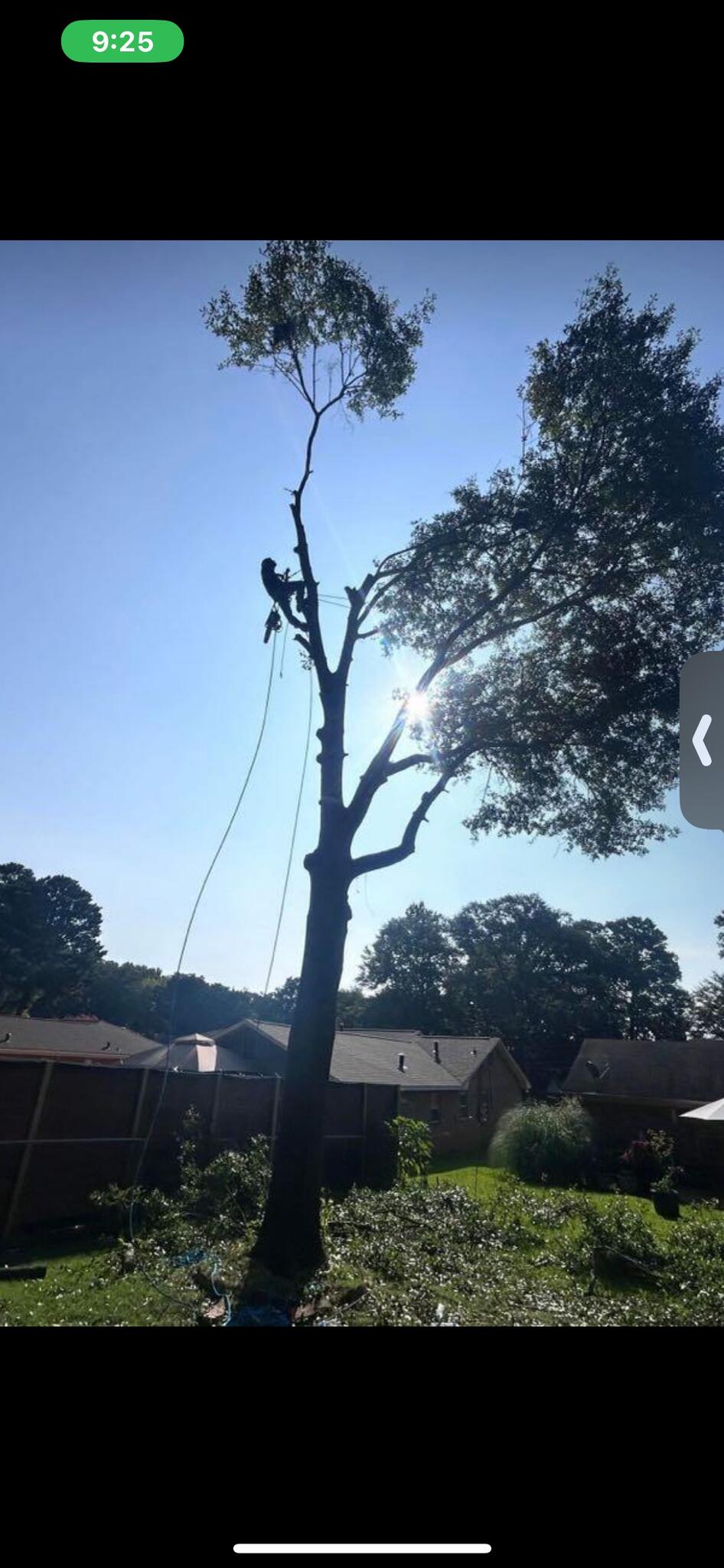 ADAMS TREE SERVICE - Nextdoor