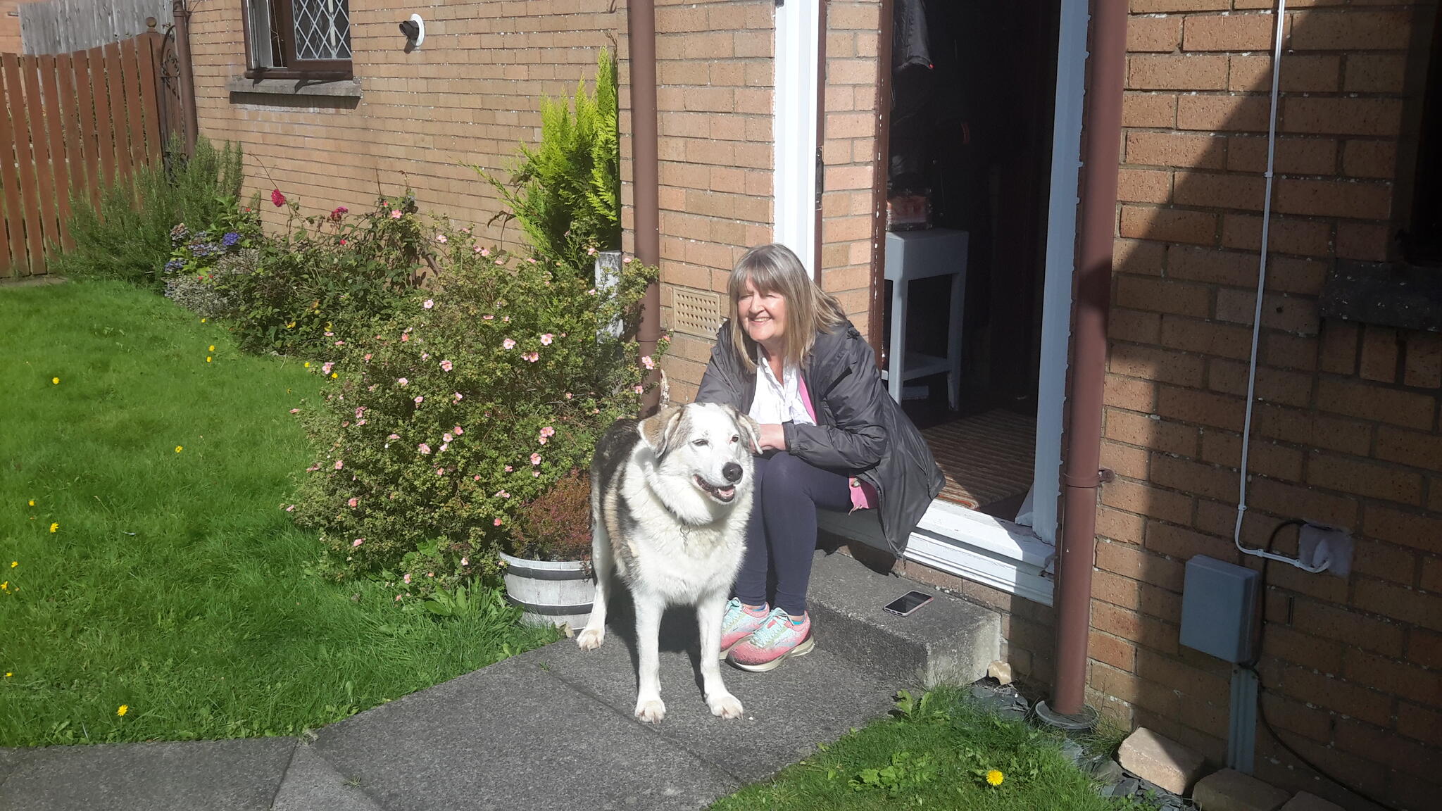 Dog boarding Glasgow Nextdoor