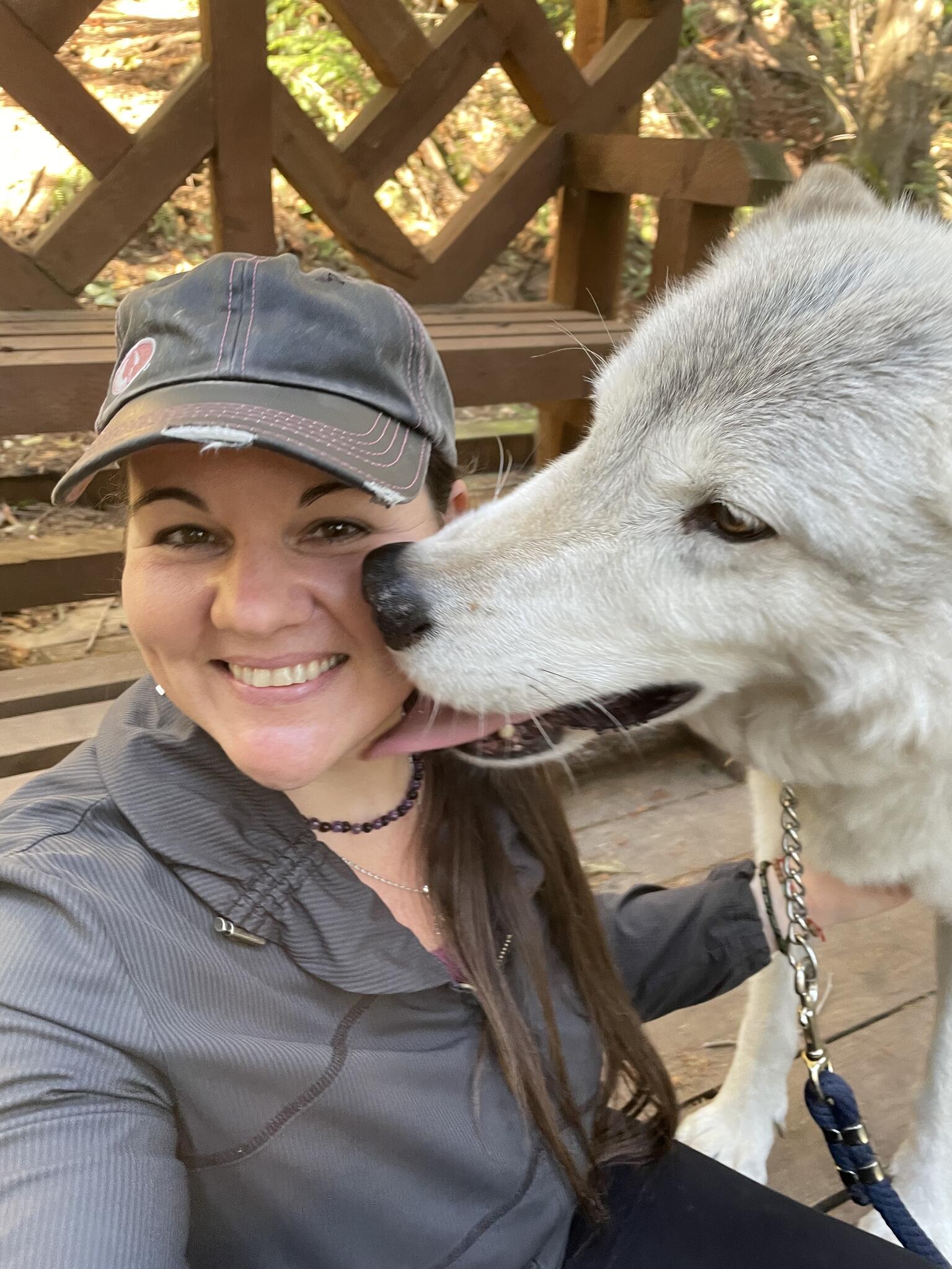 Pawsatively Yours Professional Pet Care Redmond, WA Nextdoor