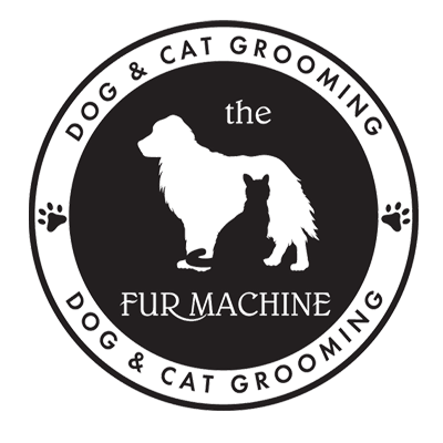 The Fur Machine Ronkonkoma NY Nextdoor