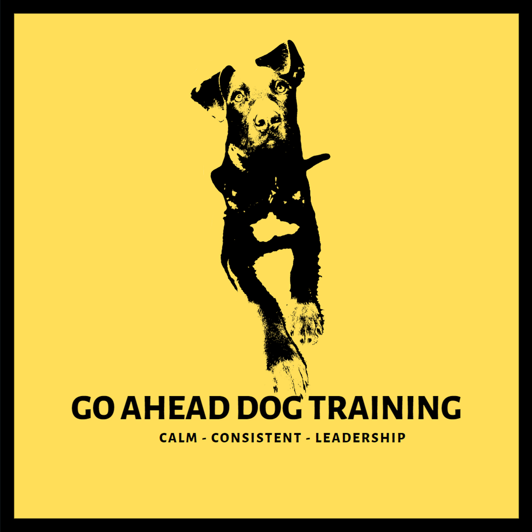 Soul Dog Soul Dogs Inc. | Broomfield CO