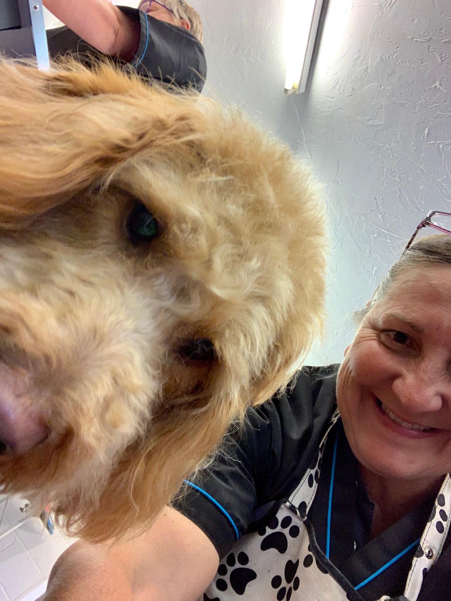 Betty & Bramble’s Professional Dog Grooming & K9 Care Bury St Edmunds