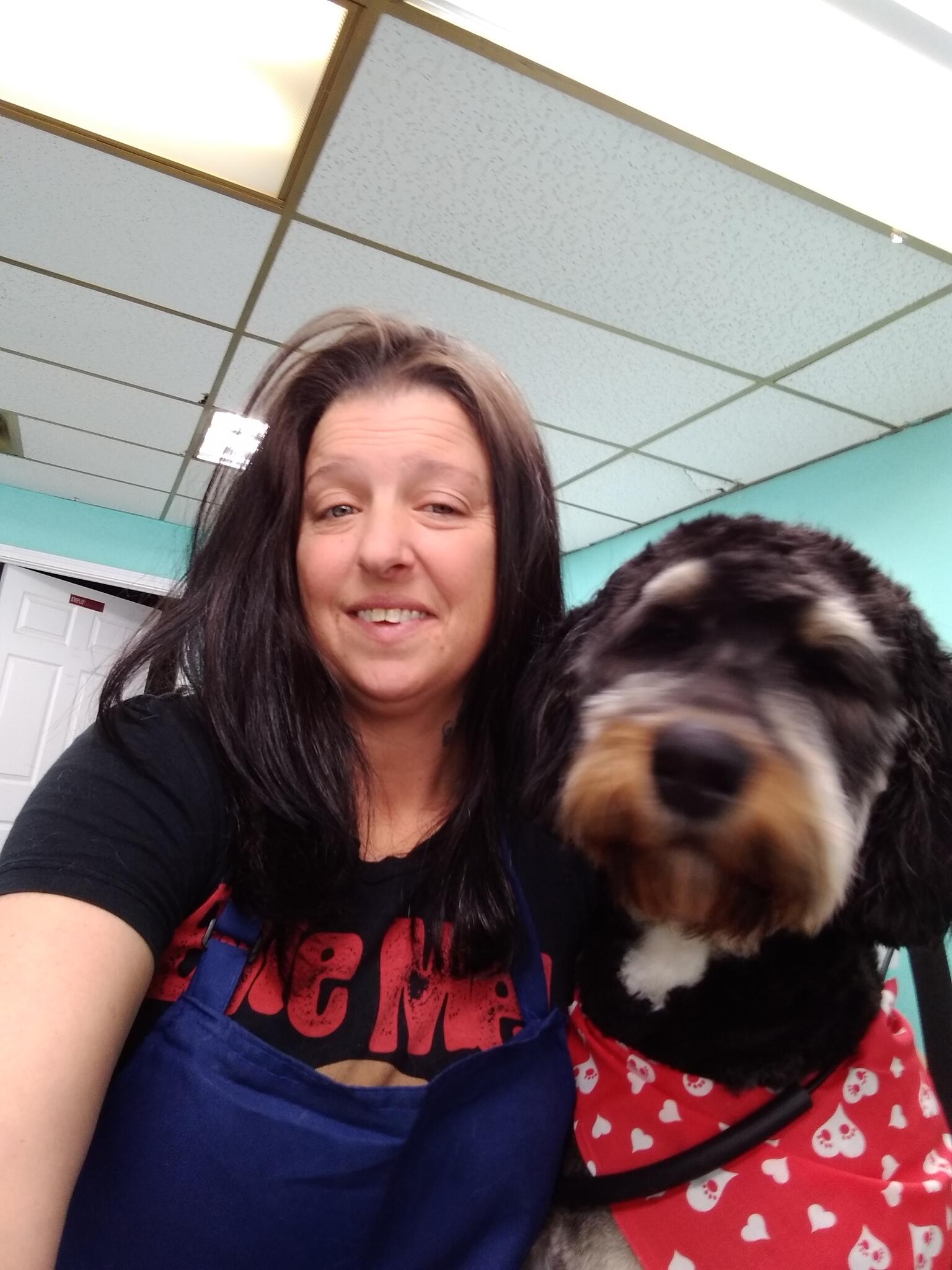 Kara's Lucky Dog Low Cost Pet Grooming & Training Indianapolis, IN