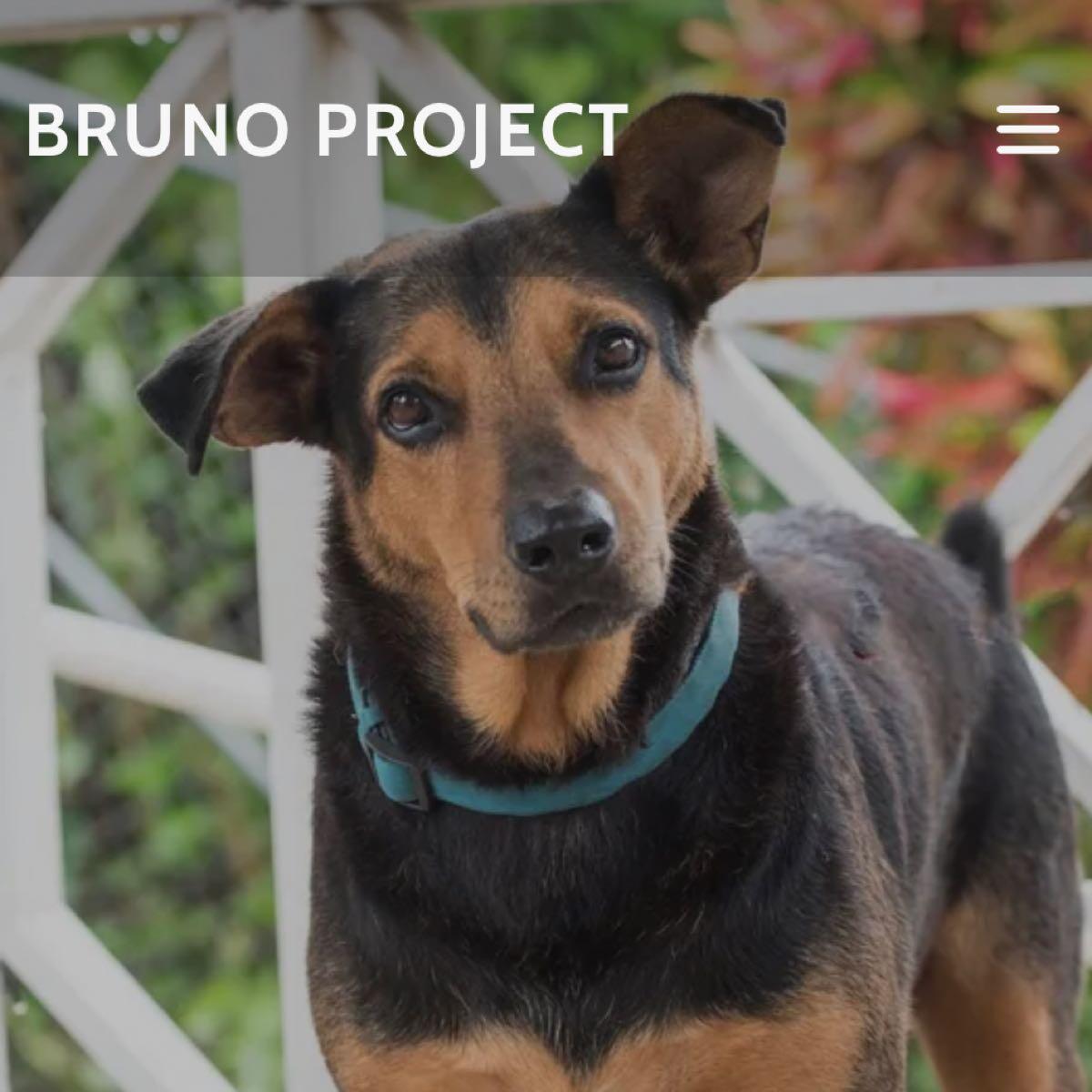Bruno Project Rescue, Inc. Columbia, MD Nextdoor