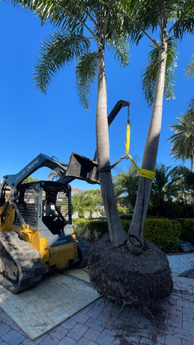 Belleair property maintenance and Landscaping LLC Treasure Island, FL