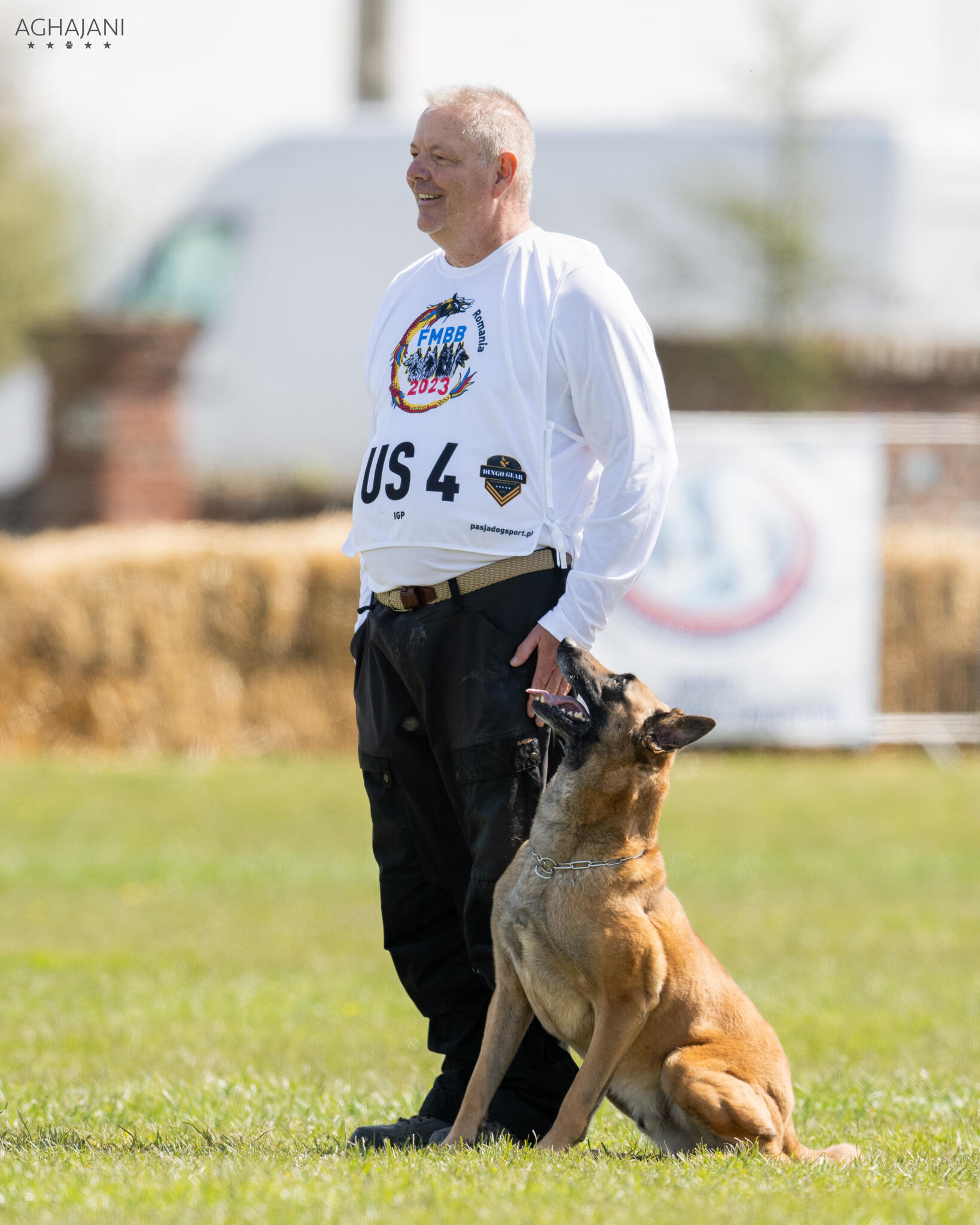 Real k9 Solutions Reno, NV Nextdoor