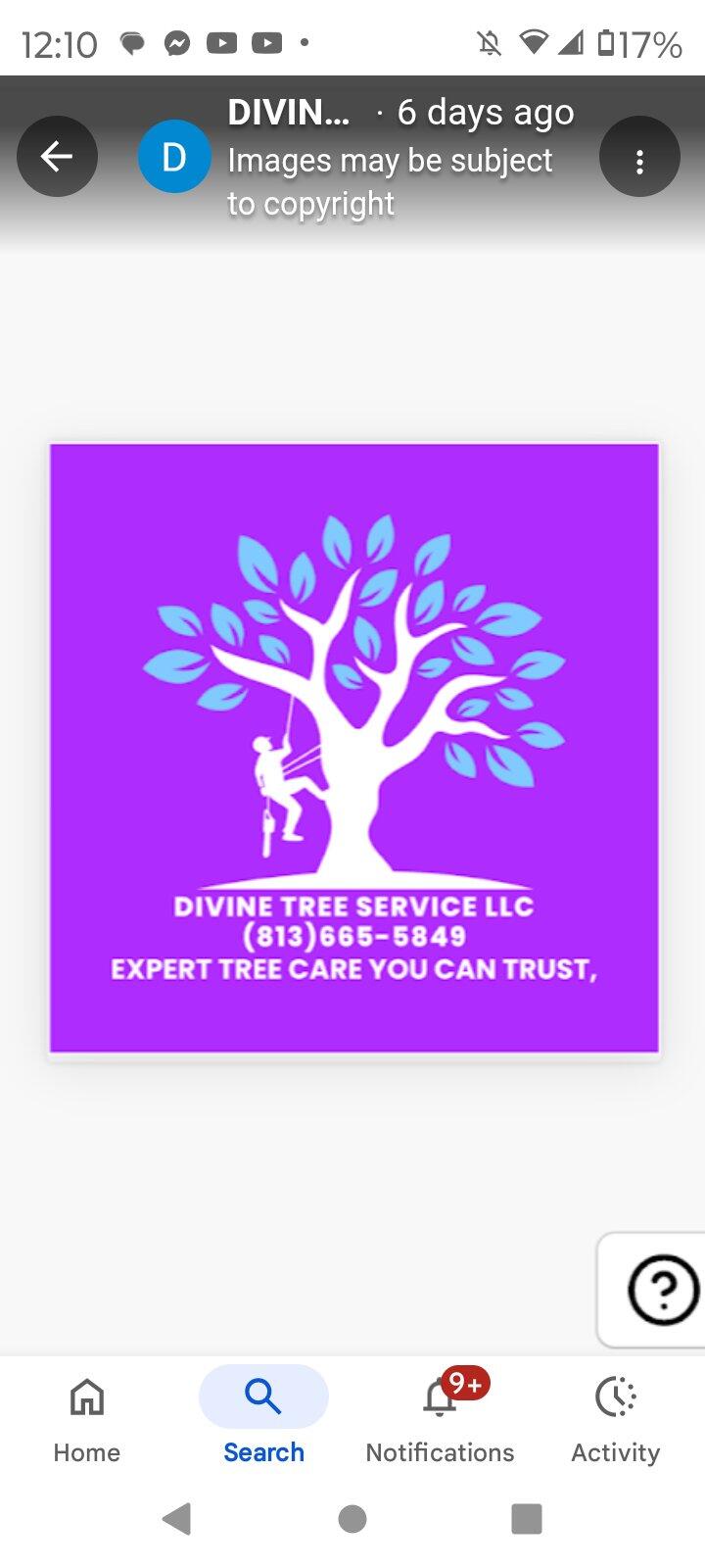 DIVINE TREE SERVICE LLC - Nextdoor