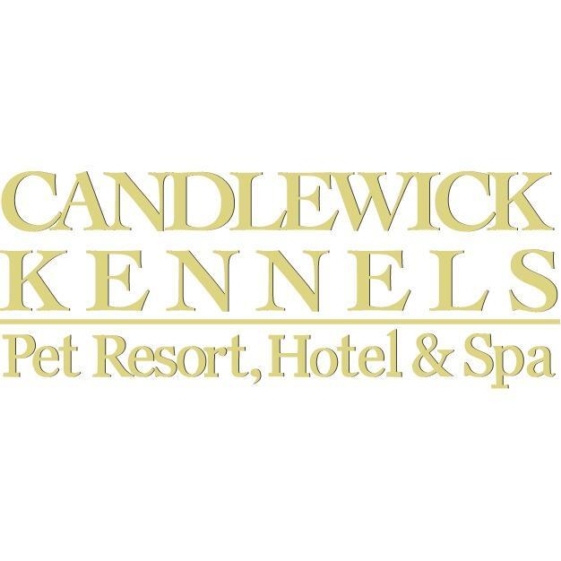 Candlewick Kennels Glastonbury, CT Nextdoor