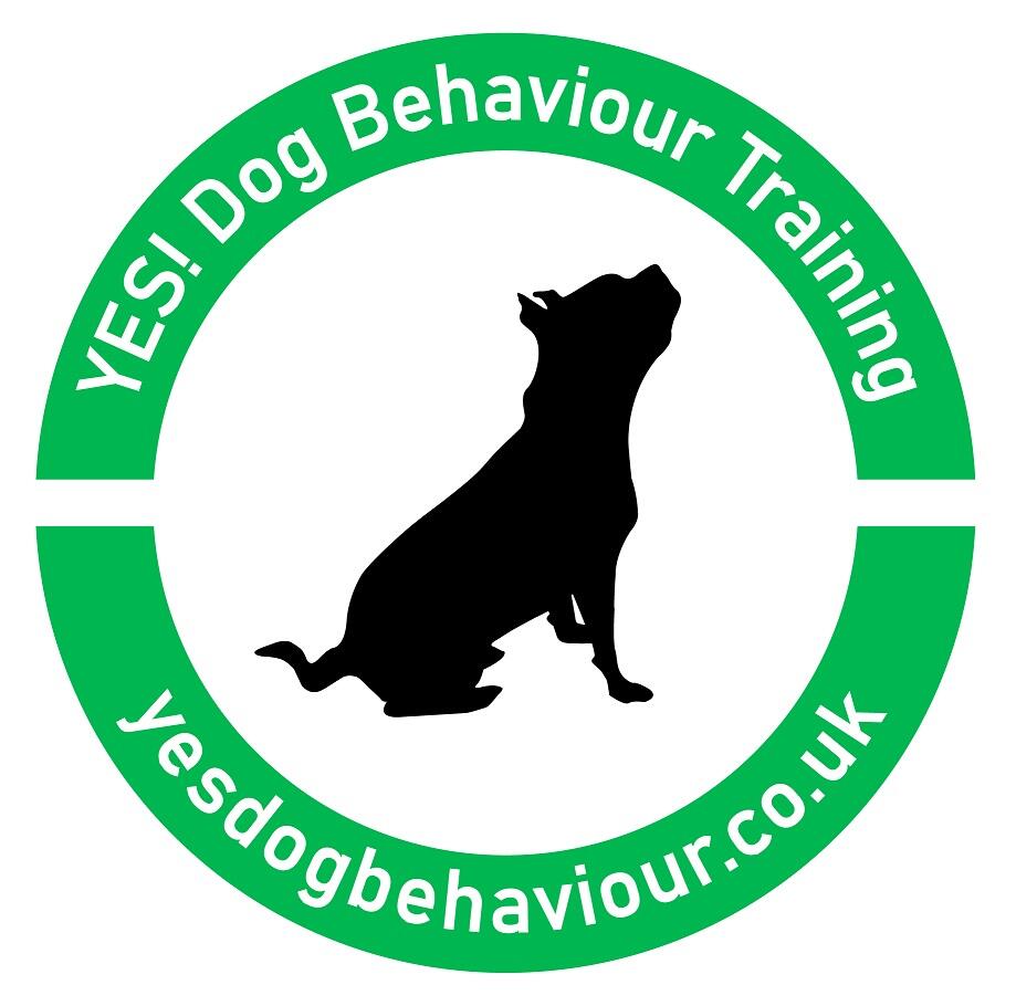 Yes! Dog Behaviour & Training Cirencester Abbey, GBENG Nextdoor