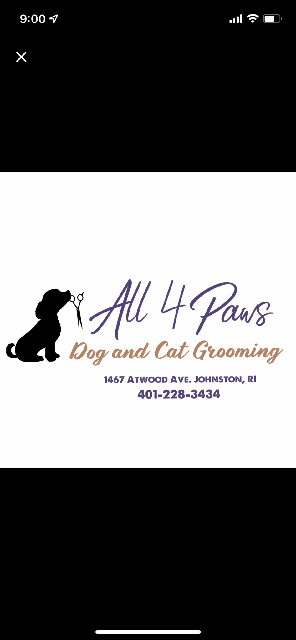 All 4 paws dog hot sale grooming