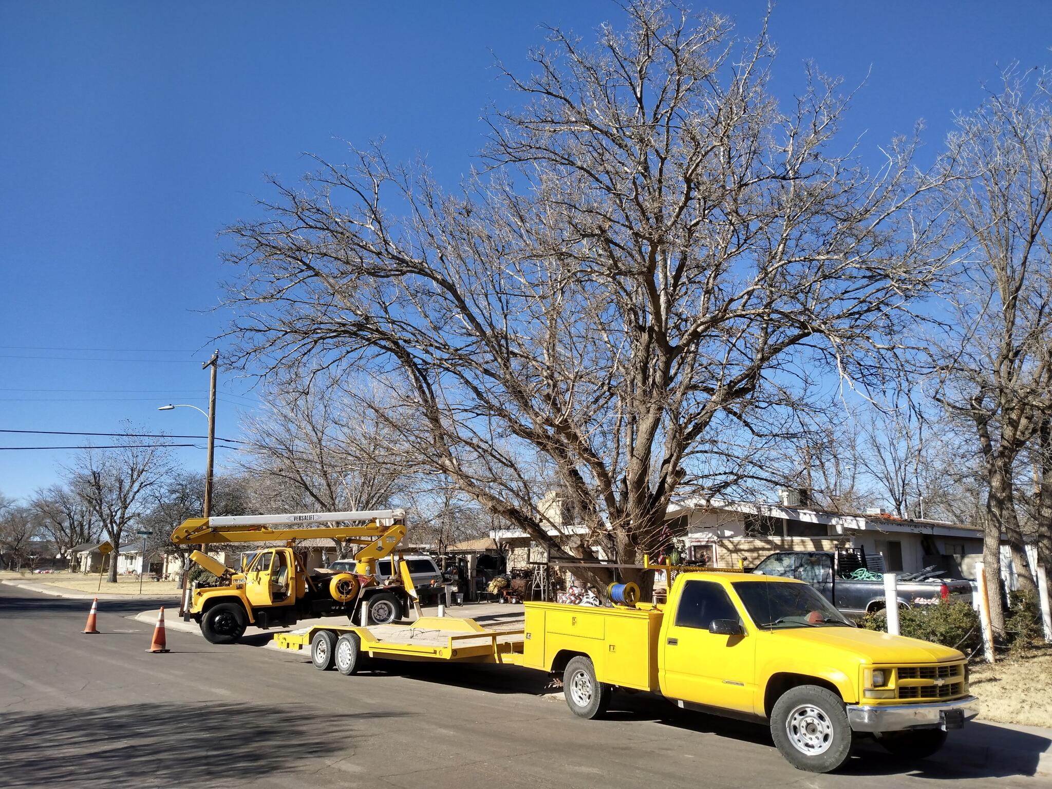 In & Out Tree Service, Professional Landscaper, handyman Nextdoor